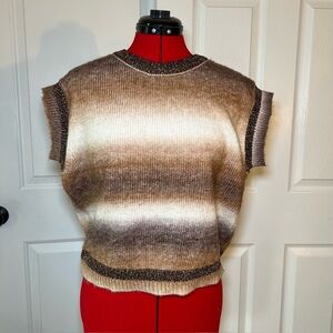 Marled Sleeveless Ombré, Metallic Trim, Knit Sweater Women’s Medium